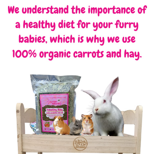 Hay blend with 🥕 crunchy carrots