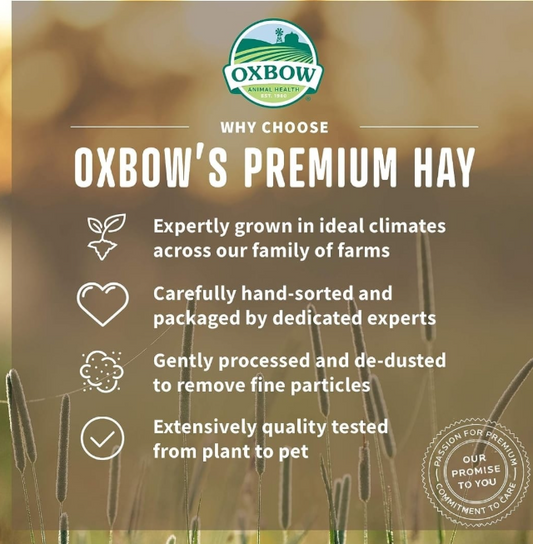 Oxbow botanical Hay