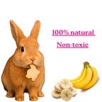 Banana Bites for Rabbits & Guinea Wholesome Banana and Oat Treats | High-Fiber, Natural & Vet-Recommended Healthy Snack