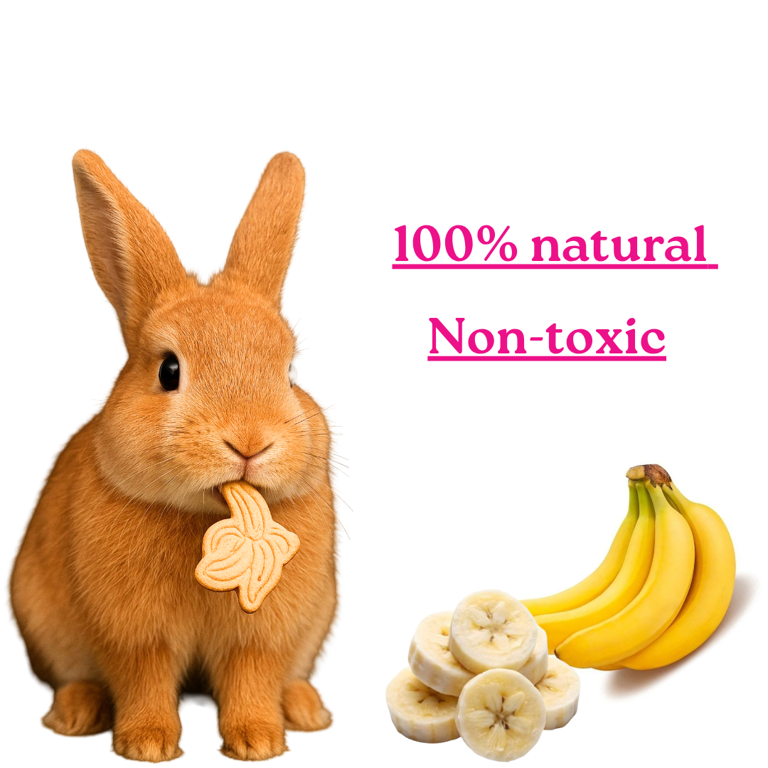 Banana Bites for Rabbits & Guinea Wholesome Banana and Oat Treats | High-Fiber, Natural & Vet-Recommended Healthy Snack