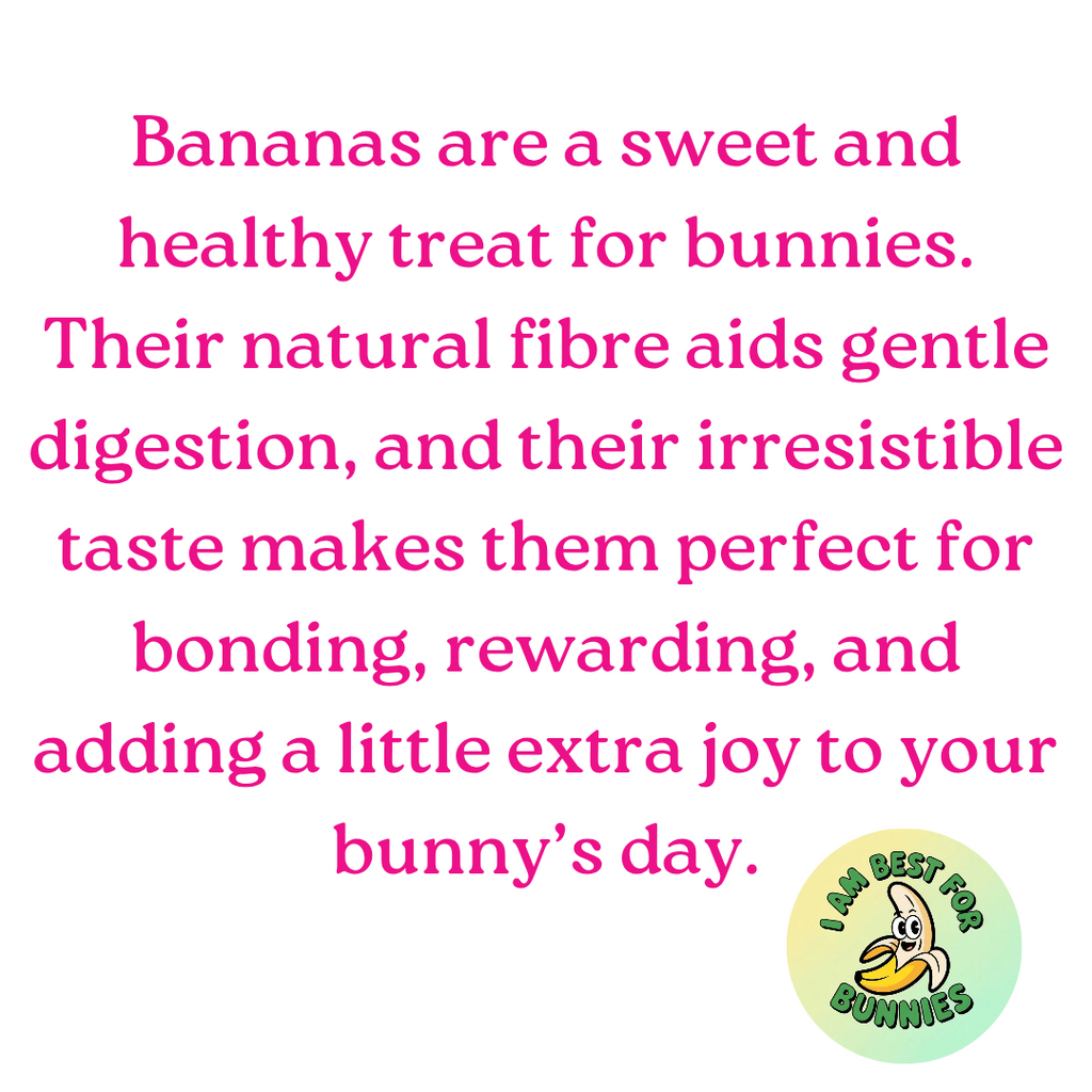 Banana Bites for Rabbits & Guinea Wholesome Banana and Oat Treats | High-Fiber, Natural & Vet-Recommended Healthy Snack