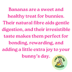 Banana Bites for Rabbits & Guinea Wholesome Banana and Oat Treats | High-Fiber, Natural & Vet-Recommended Healthy Snack