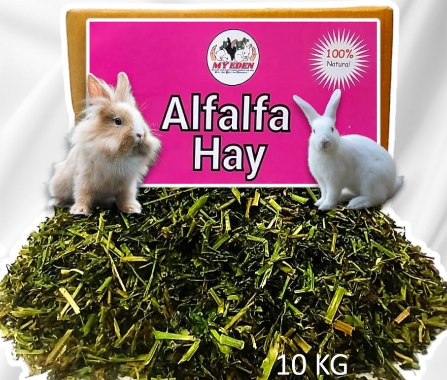 Natural Alfalfa Hay (10 KG)