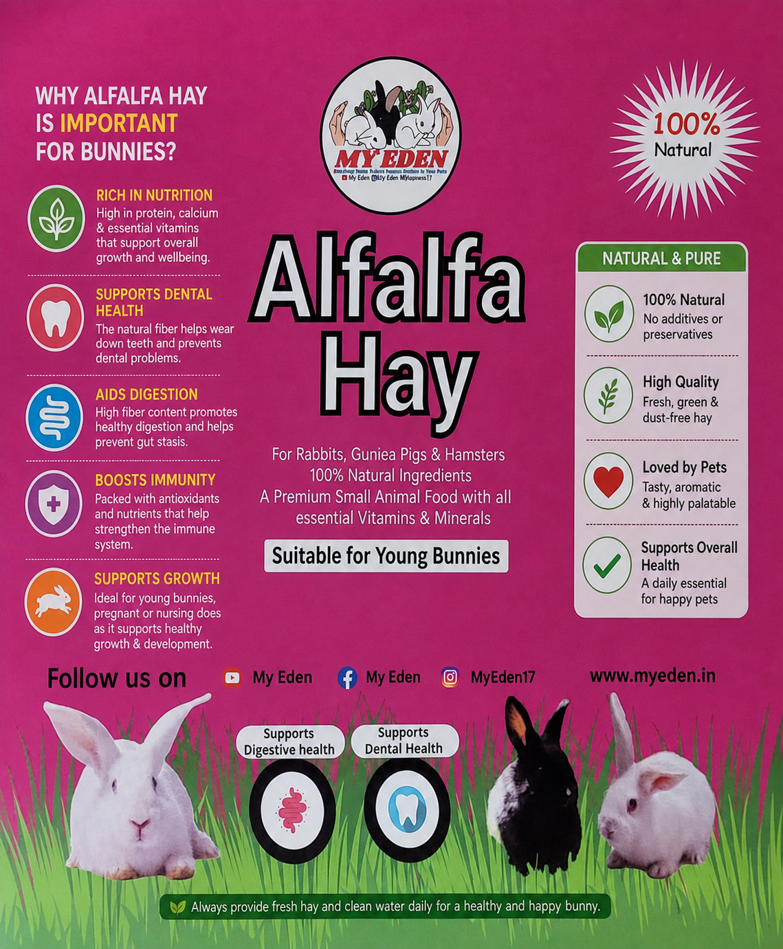 Alfalfa Hay for Rabbits, Guinea pigs, Hamster | High Fiber Food | Pesticides Free (500 Gm)