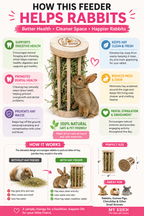 Natural Wooden Hay Feeder for Rabbits/Guinea Pigs/Hamster/Small Animals ( Jumbo Size )