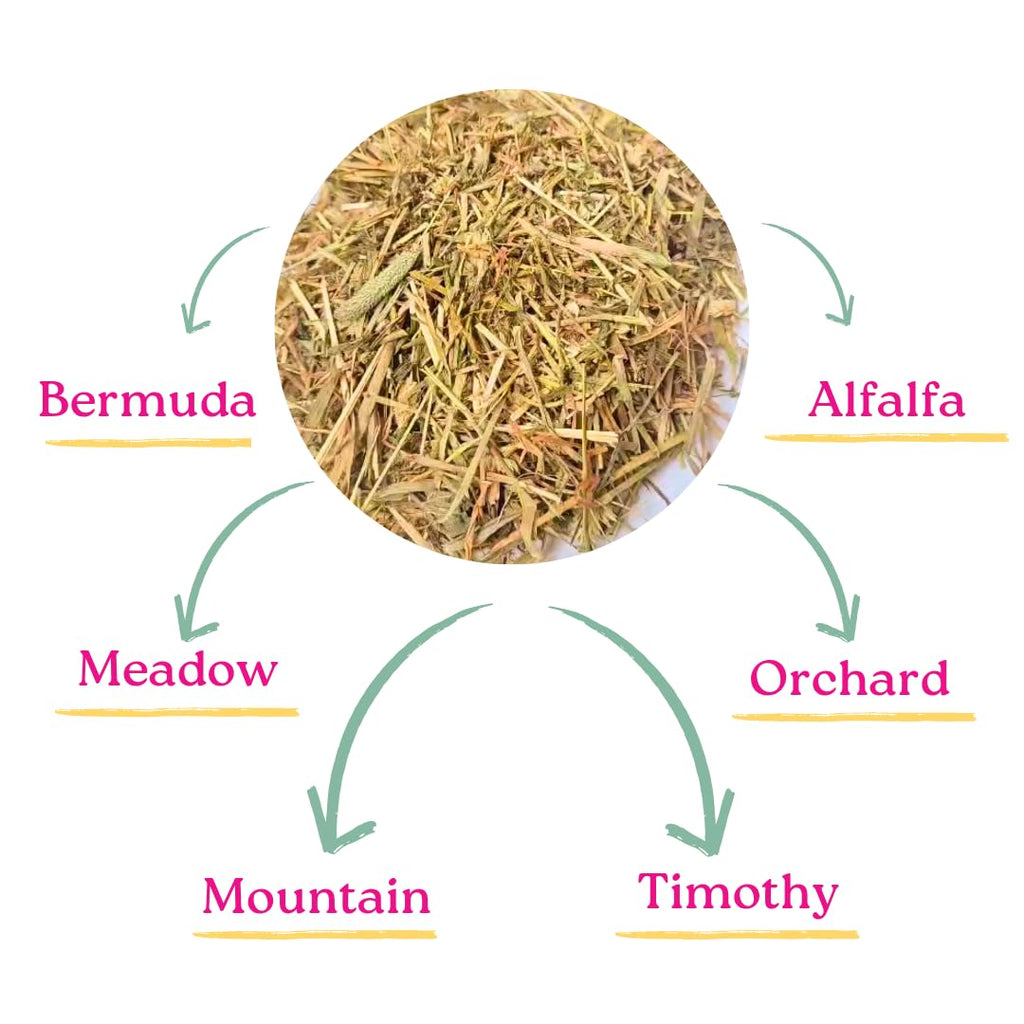 My Eden Premium Hay Mix – Wholesome Goodness in Every Strand