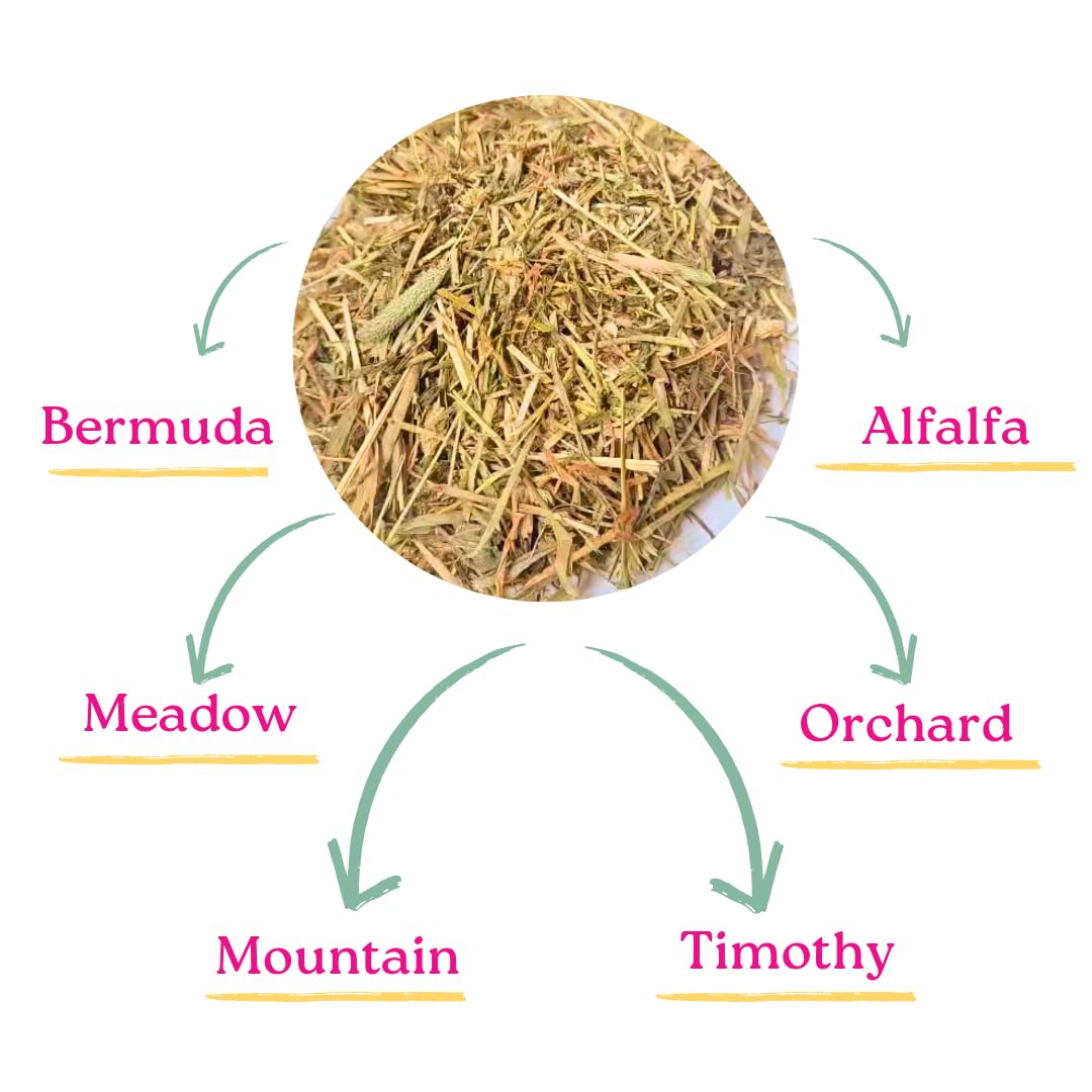 My Eden Premium Hay Mix – Wholesome Goodness in Every Strand
