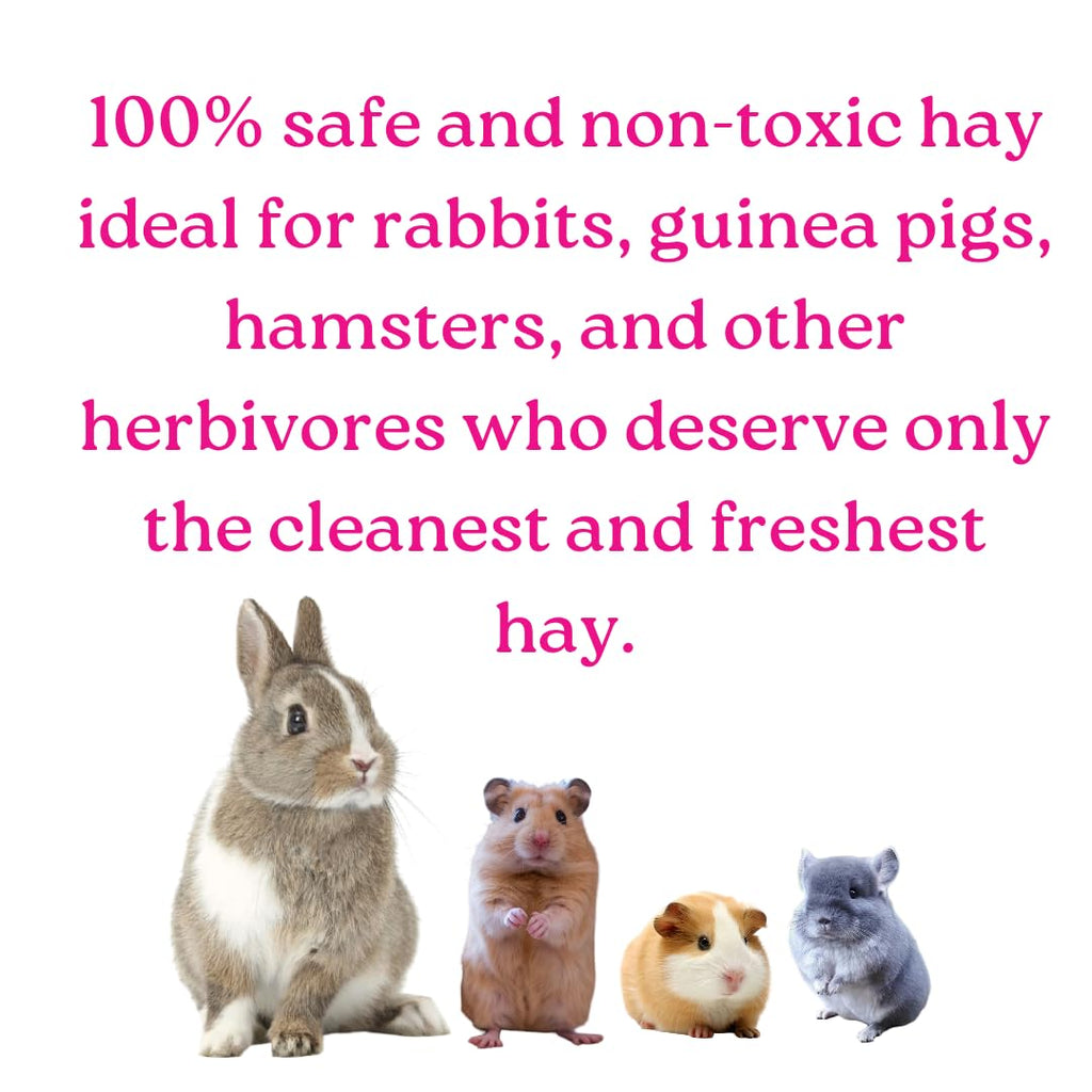 My Eden Premium Hay Mix – Wholesome Goodness in Every Strand
