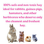 My Eden Premium Hay Mix – Wholesome Goodness in Every Strand