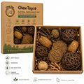 TREAT TOY BOX