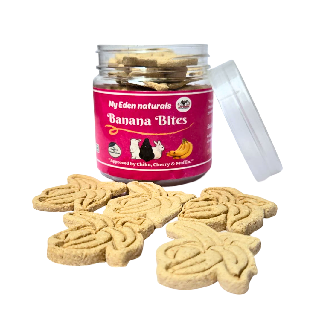 Banana Bites for Rabbits & Guinea Wholesome Banana and Oat Treats | High-Fiber, Natural & Vet-Recommended Healthy Snack