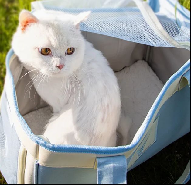 Fashionable out-Going Portable Takeaway Diagonal Breathable Dog Cat Pet Carrier