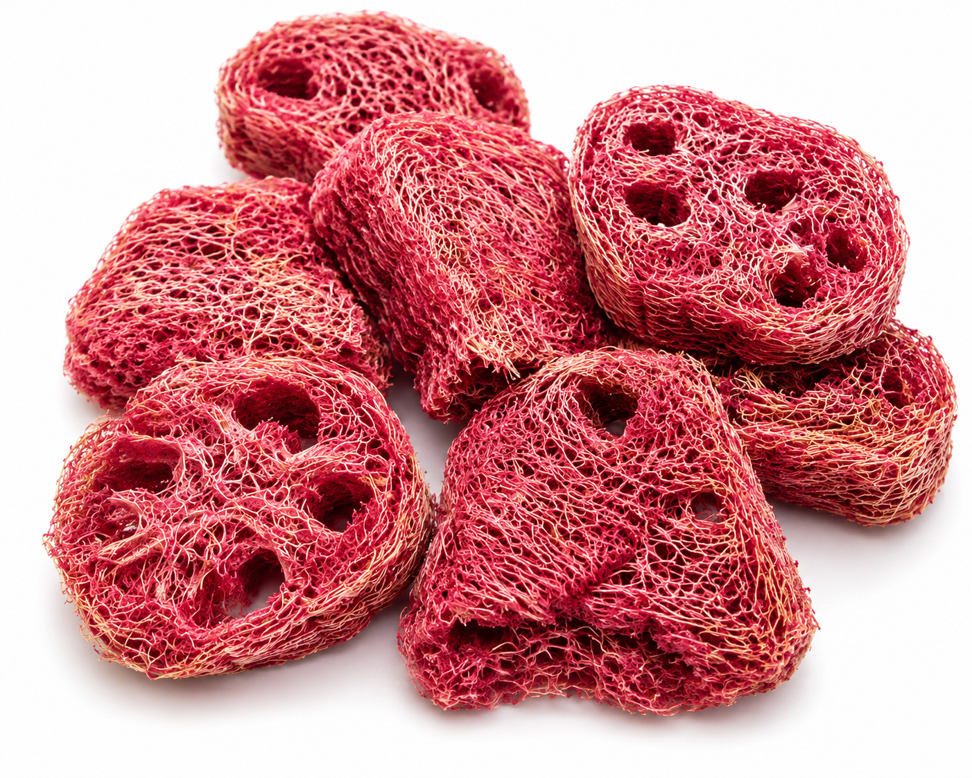 Chew loofa dipped in beetroot