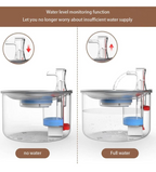 Water feeder (fountain diapenser)