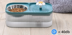 Duel Bowl with fountain