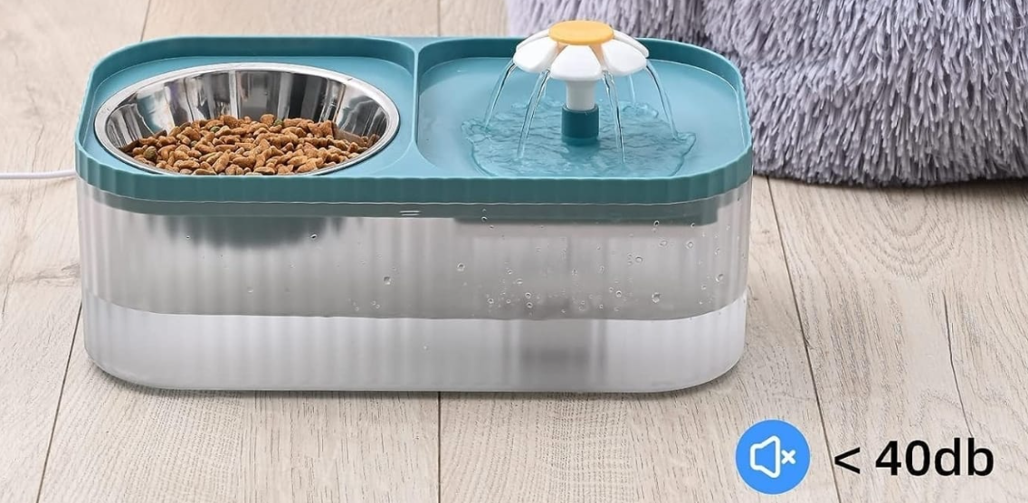 Duel Bowl with fountain