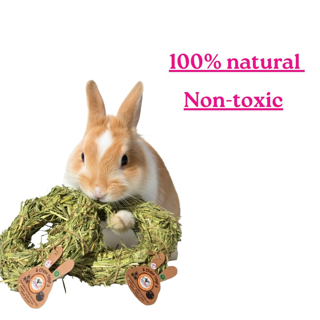 MY EDEN 100% Natural Timothy Hay Rings (Pack of 2) – Organic Handmade Chew Toy for Rabbits and Small Animals
