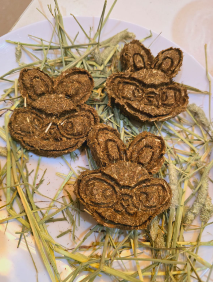 Hay bunnies