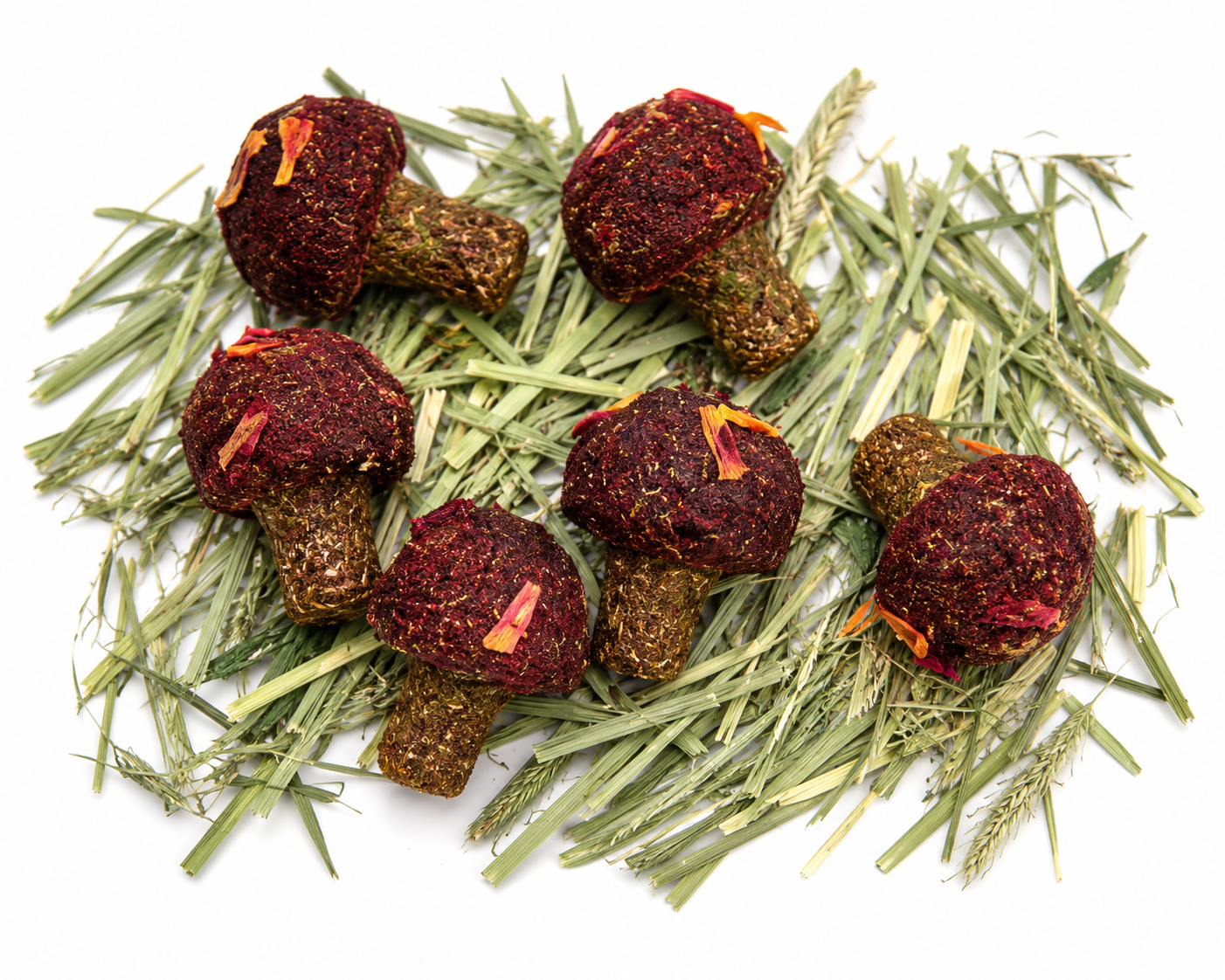 Hay Mushroom Treats