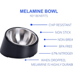 Hogh glossy slanting bowl