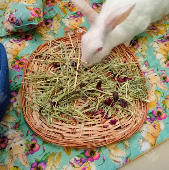 Willow forage mat