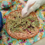 Willow forage mat